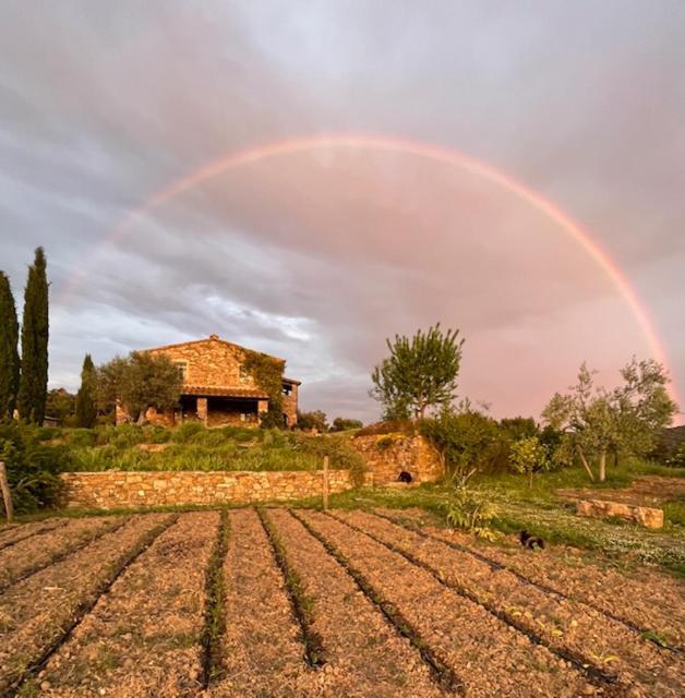 Borgo Le Moraiole Villa Massa Marittima Exteriör bild